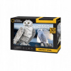 CubicFun 3D puzzle National Geographic: Sněžná sova 62 ks