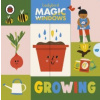 Magic Windows: Growing