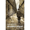 Andělin popel - Frank McCourt