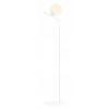 Gallia White 1095A Stála lampa - Aldex (Gallia White 1095A Stála lampa - Aldex)