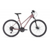 Kellys Pheebe 30 28