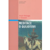Meditace o Quijotovi