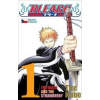 Bleach 1 - Kubo Tite