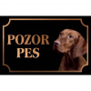 Maďarský stavač (Vyžla) drôtosrstý - Kovová tabuľka POZOR PES