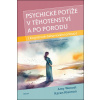 Psychické potíže v těhotenství a po porodu (Amy Wenzel, Karen Kleiman)