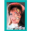 The Rise of David Bowie. 1972–1973 - Barney Hoskyns, Michael Bracewell