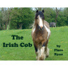 Irish Cob