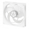 ARCTIC P14 PWM (White/Transparent) ACFAN00223A Arctic Cooling