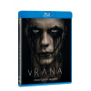 Vrana BD