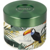 Termobox na desiatu Quokka Whim Tropical 360 ml
