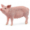 Schleich 13933 Prase