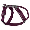 Non-Stop Dogwear Line 5.0