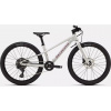 Bicykel Specialized RIPROCK 24