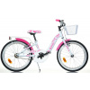 Dino Bikes 204R 2022
