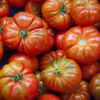 BIO Paradajka Oaxacan Jewel - Solanum lycopersicum - predaj bio semien - 6 ks