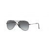 Ray-Ban RJ9506S 220/11