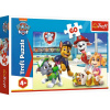 Puzzle Vo svete šteniat Tlapková patrola/Paw patrol 33x22cm 60 dielikov v krabici 21x14x4cm
