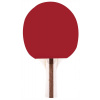 Raketa na stolný tenis Spokey FUNBAT