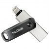 SanDisk iXpand Go 256GB SDIX60N-256G-GN6NE