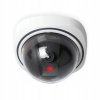 Bentech Dummy Dome 1
