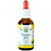 Rozchodnice růžová - rhodiola AF tinktura 50ml Salvia Paradise