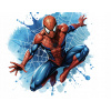 CUKROVÁ TLAČ jedlý obrázok na tortu Cukrová hmota SPIDERMAN Spider-Man #19 + MENO