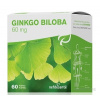 Nefdesanté Ginkgo Biloba 60 kapsúl