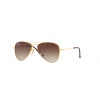 Ray-Ban RJ9506S 223/13