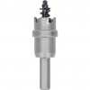 Bosch Dierová píla Precision for Sheet Metal, 21 mm 2608594132