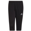 Pants adidas Entrada 22 3/4 Panty M HB0576 (93007) Black XS