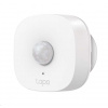 TP-Link Tapo T100