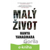 E-kniha Malý život - Hanya Yanagihara