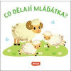 Co dělají mláďátka? - autor neuvedený