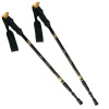 Trekingové palice nordic walking NILS EXTREME NW-TK 19