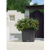 Lechuza Trend Cube Cottage granit antracit komplet set 50x50x54 cm