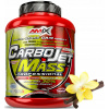 AMIX CARBOJET MASS PROFESIONAL GAINER 1800g