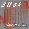 Bush - Sixteen Stone / Vinyl / 2 LP
