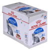 Royal Canin ROYAL CANIN FHN Indoor jelly - mokré krmivo pre dospelé mačky - 12x85g
