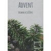 Advent – Krokmi k Ježišo… (Anna Berthotyová)