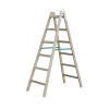 Woodland 401142
