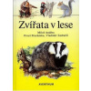 Zvířata v lese - Anděra Miloš