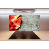 Panel do kuchyne Nakrájaný melón 100x50 cm