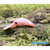 Wobler SHIMANO Cardiff Fuwatoro 35F - Strawberry