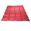 DEKA OBLIEČKY 200x220 3 kg ZIMNÉ 2COLORS (DEKA OBLIEČKY 200x220 3 kg ZIMNÉ 2COLORS)