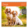 Dogs 2027 - nástěnný kalendář