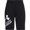 UNDER ARMOUR UA Prototype 2.0 Logo Shorts, Black - M