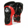 Boxerské rukavice DBX BUSHIDO BB4 12 oz