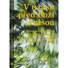 V úžasu před Boží krásou - Veronika Blažek Iňová