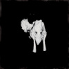 Sigur Ros - Kveikur / Vinyl / 2LP [2 LP]
