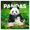NOTIQUE Nástenný poznámkový kalendár Pandas (Pandy) 2026 - Notique